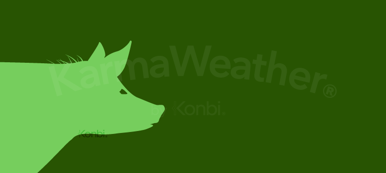 Cochon