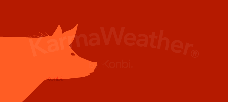 Cochon