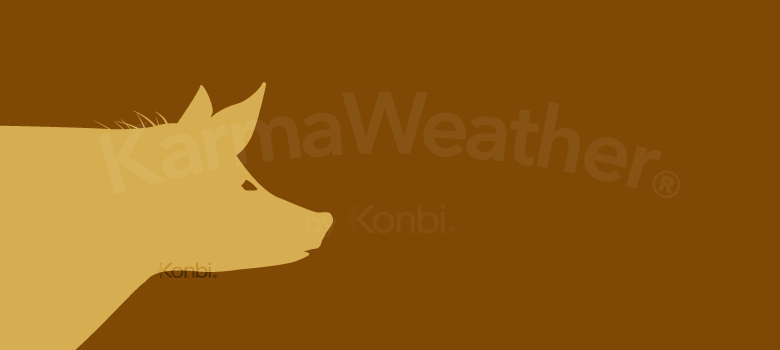 Cochon