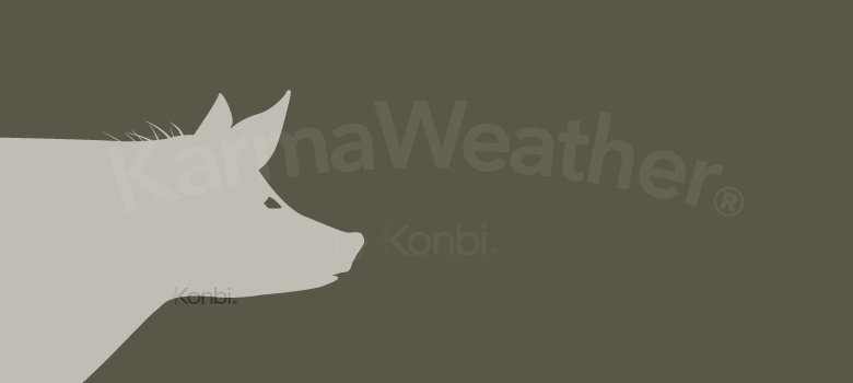 Cochon