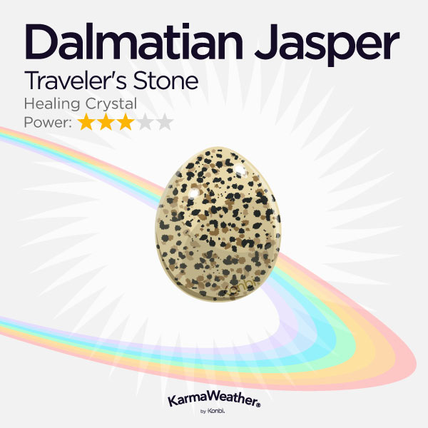 Jaspe dalmatien