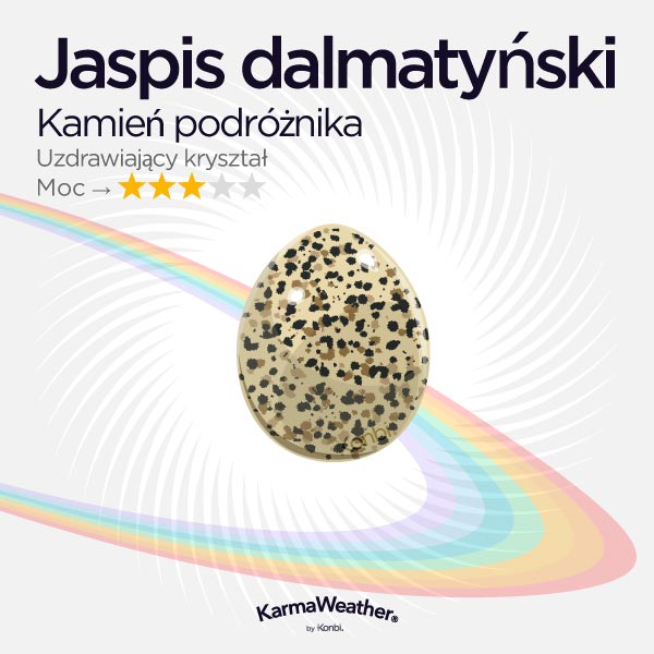 Jaspe dalmatien